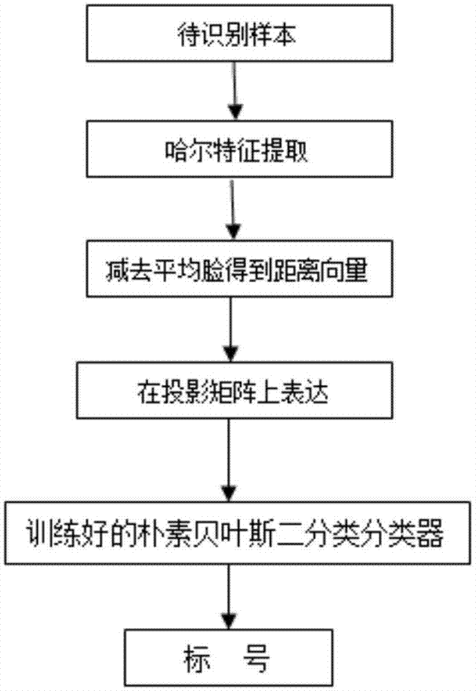 Face recognition method based on Haar-like features and eigenface recognition