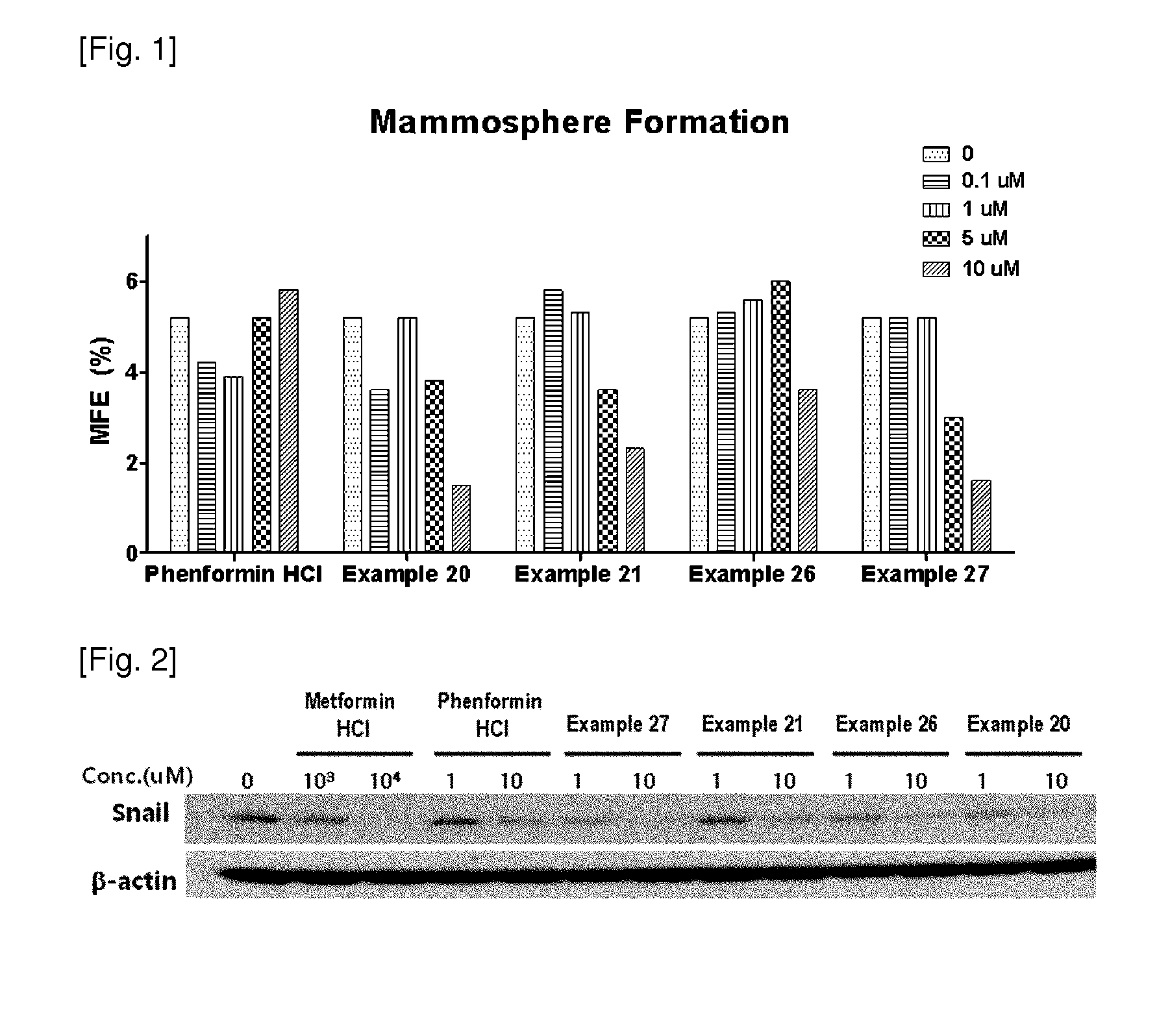 N1-Cyclic Amine-N5-Substituted Phenyl Biguanide Derivatives, Methods of Preparing the Same and Pharmaceutical Composition Comprising the Same