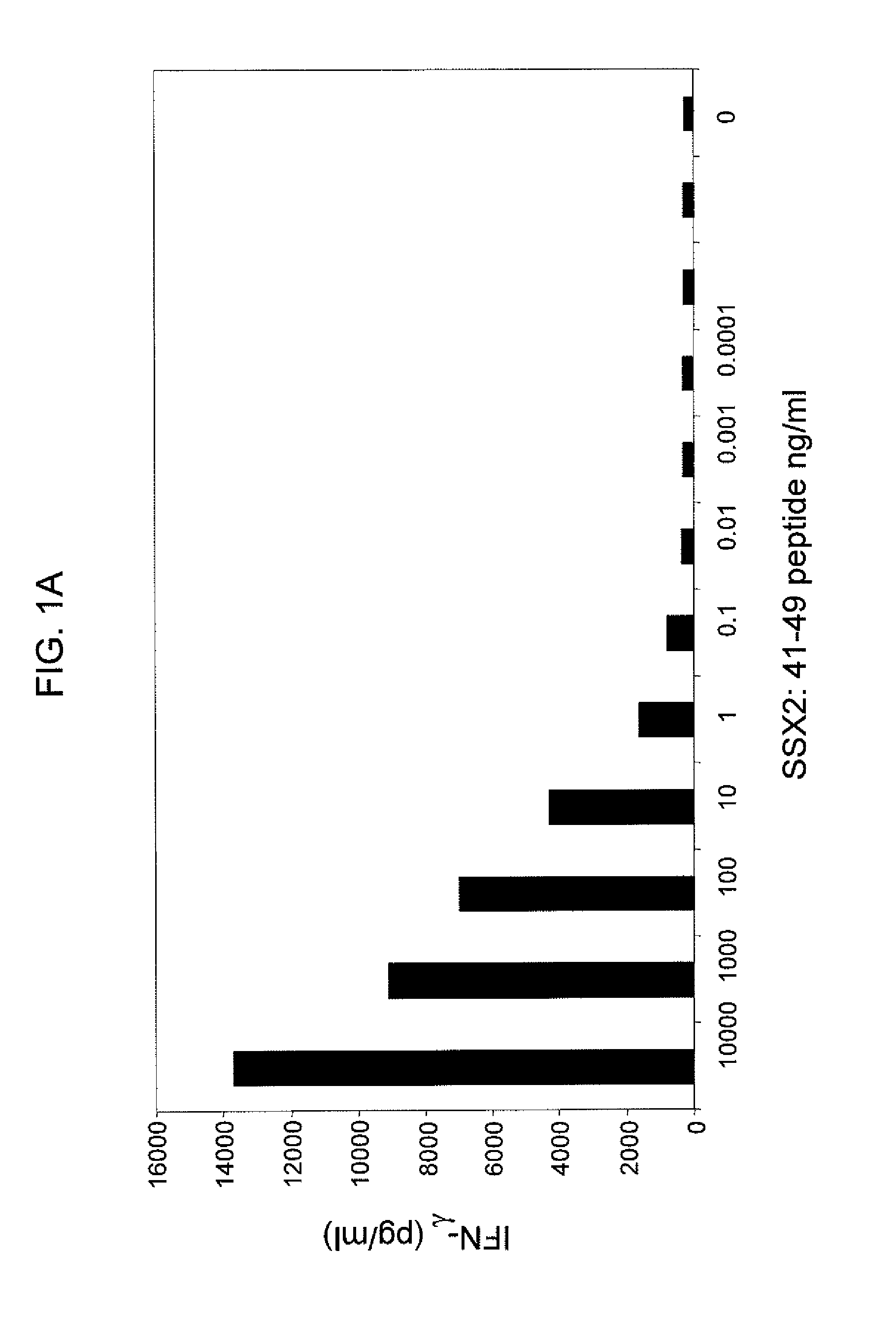 Anti-SSX-2 T cell receptors and related materials and methods of use