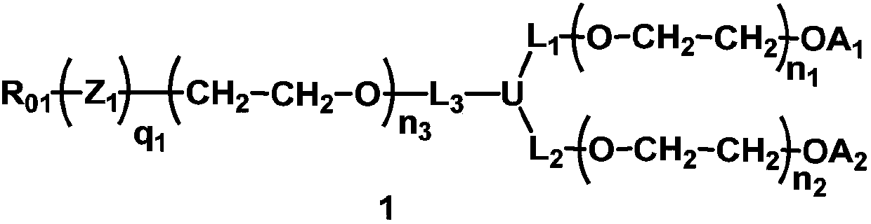 A kind of monofunctional branched polyethylene glycol containing degradable group, preparation method and biological related substance thereof