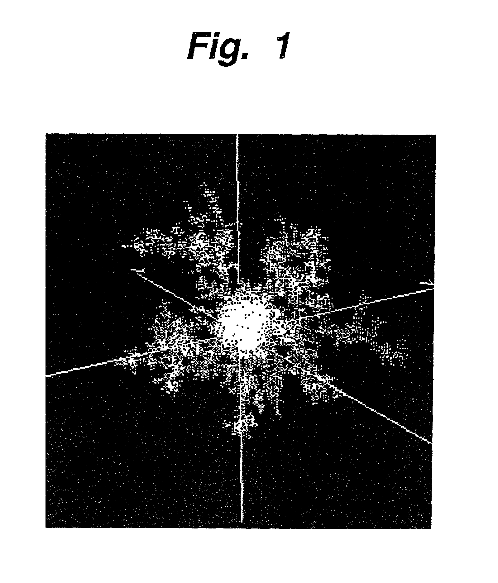 Fractal structure and its forming method