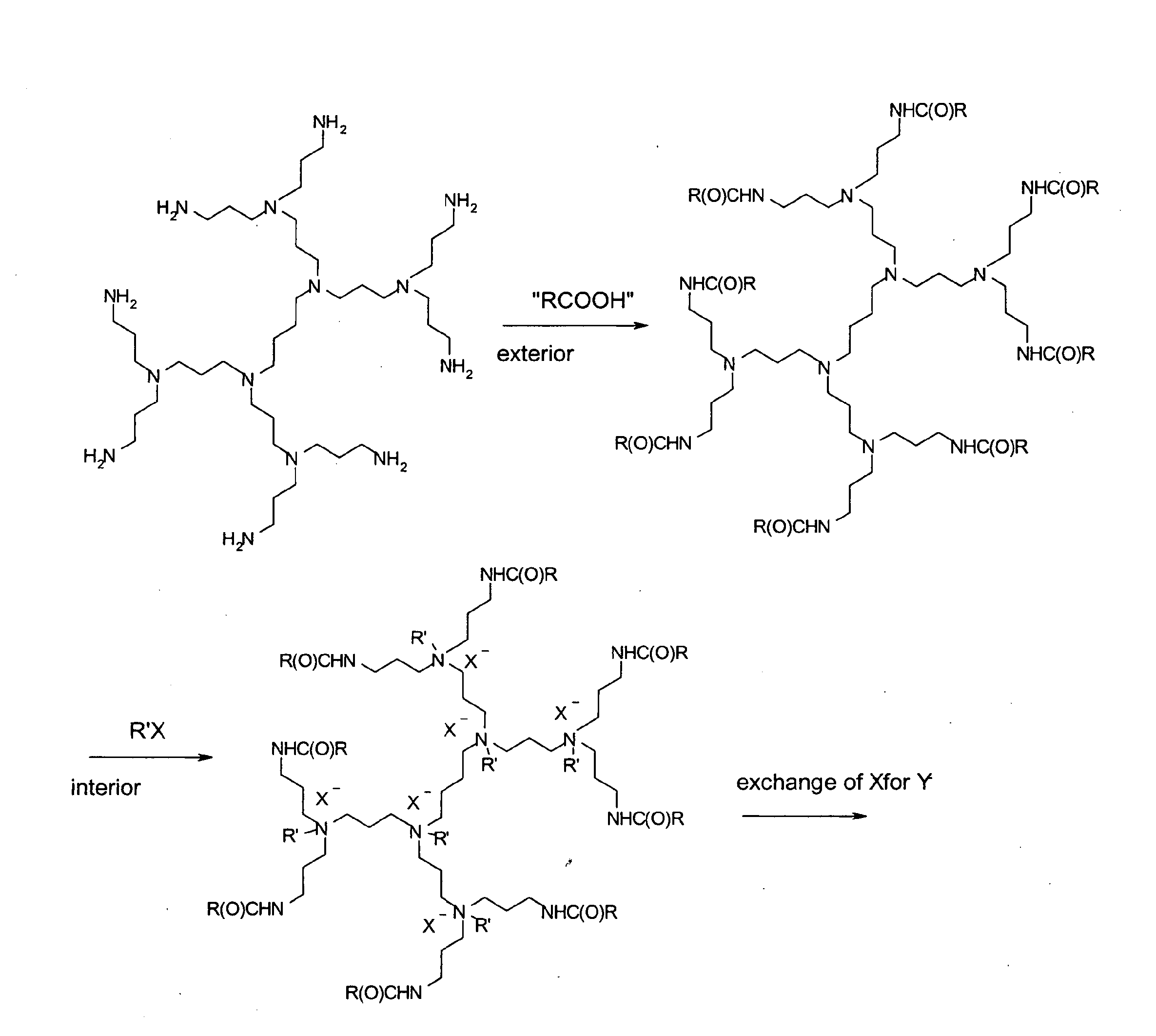 MODIFIED POLY(PROPYLENE-IMINE) DENDRIMERS AND THEIR USE AS TRANSFECTION AGENTS FOR AMIONIC BIOACTIVE FACTORS ( as amended