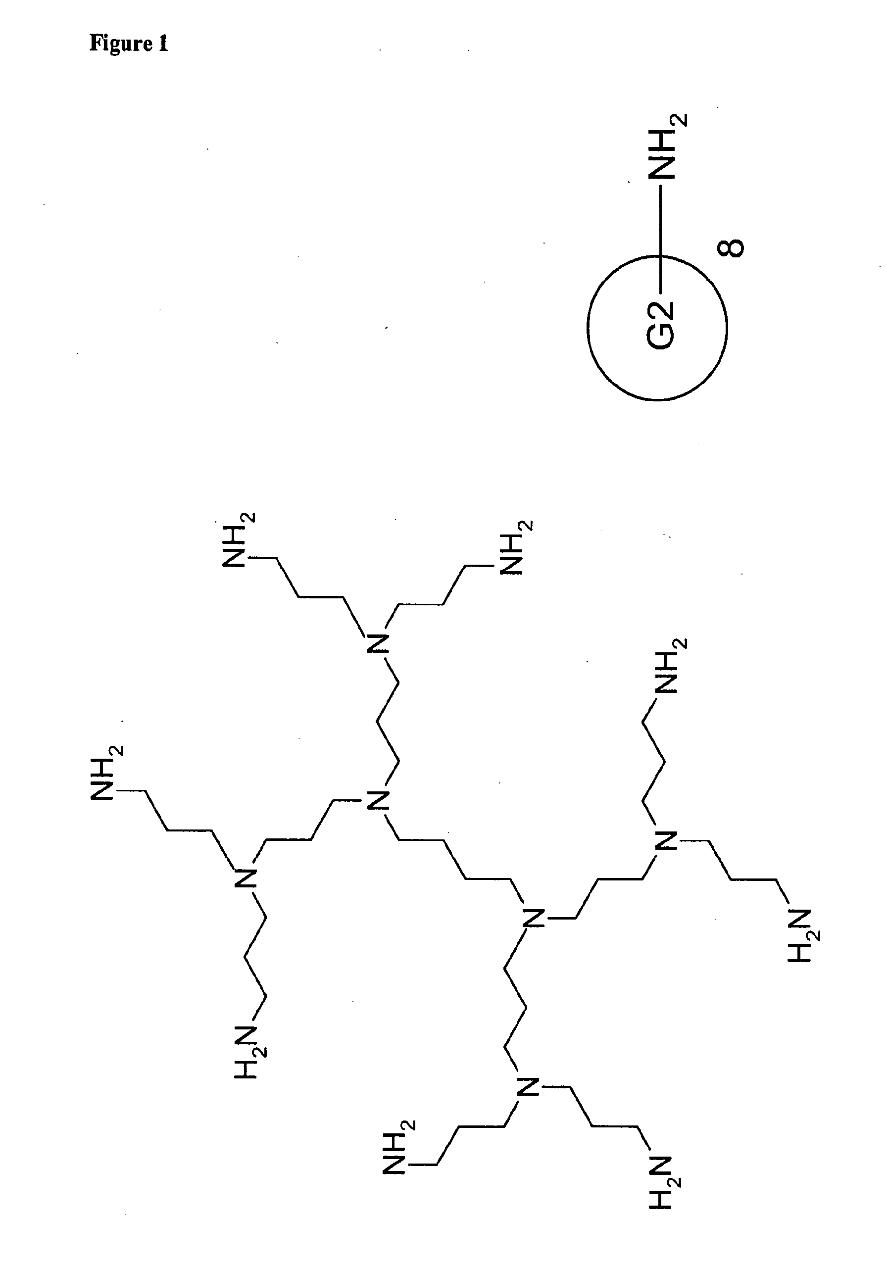 MODIFIED POLY(PROPYLENE-IMINE) DENDRIMERS AND THEIR USE AS TRANSFECTION AGENTS FOR AMIONIC BIOACTIVE FACTORS ( as amended