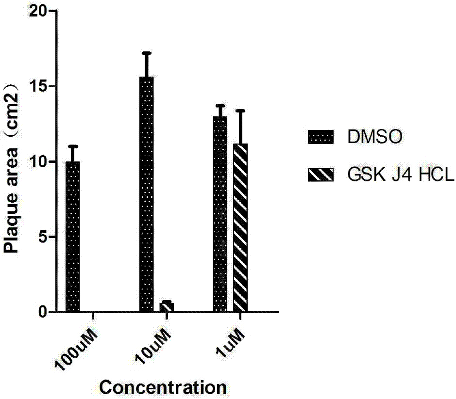 Screening and application method of small-molecule inhibitor capable of inhibiting proliferation of toxoplasma gondii