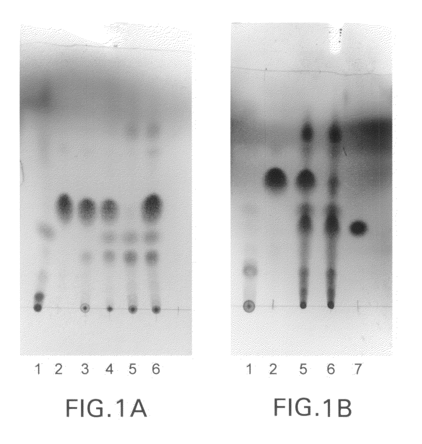 Enzymatic method of making aldehydes from fatty acids