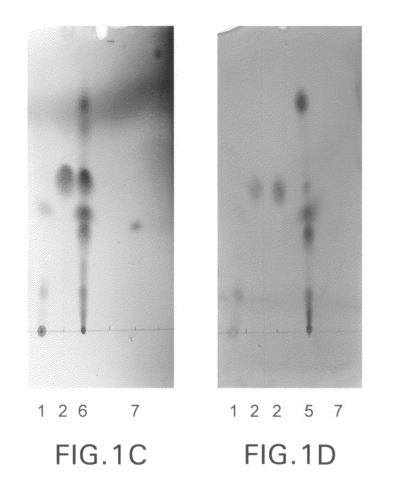 Enzymatic method of making aldehydes from fatty acids