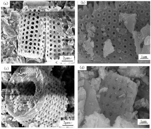 Method for preparing Bi-Mn doping-modified TiO2/diatomite composite material by sol-gel method with ultrasonic wave assistance