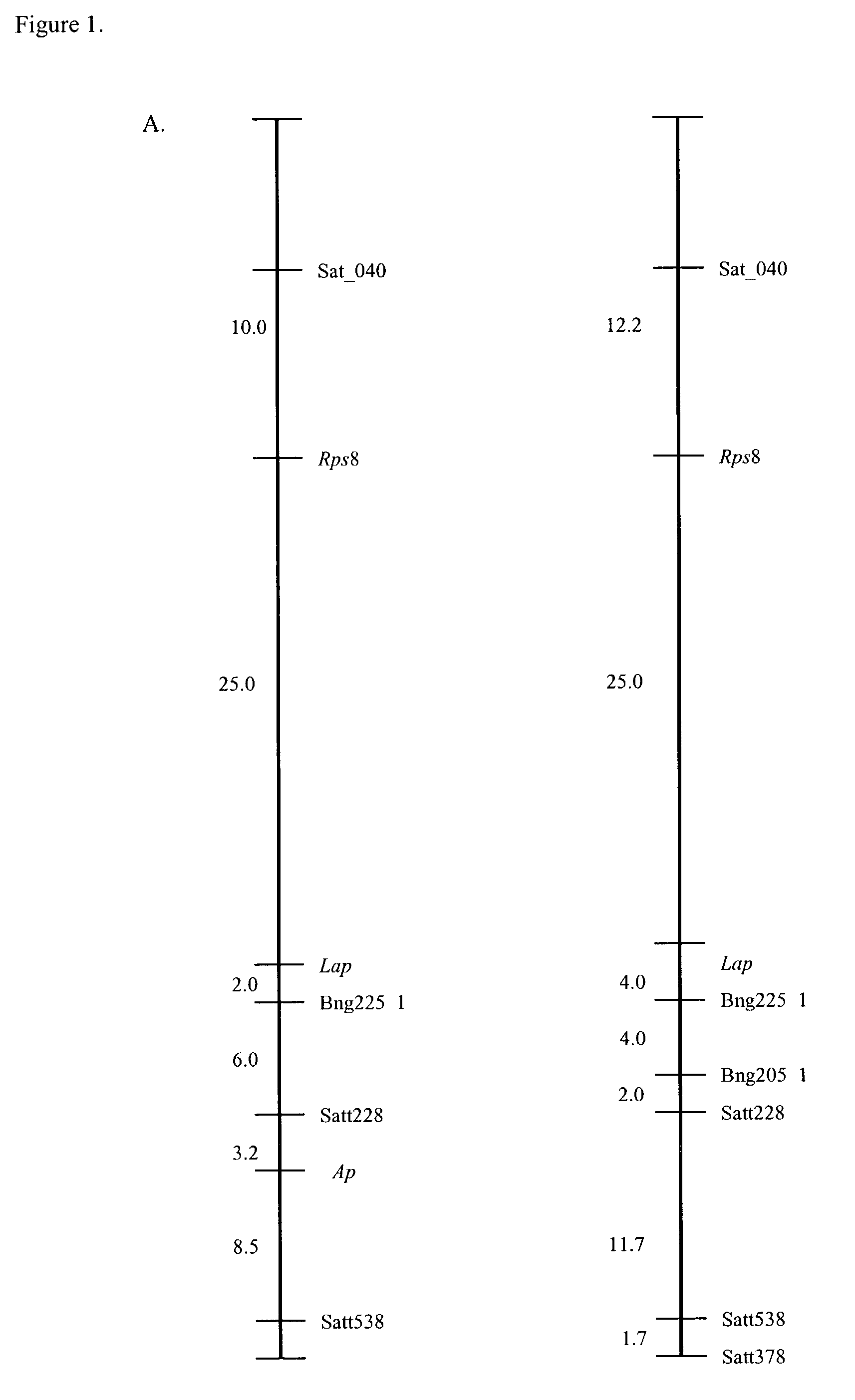 Identification of soybeans having resistance to <i>Phytophthora sojae</i>