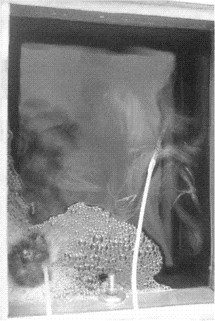 Method for preparing fibrilia by using epicoccum nigrum DB3 strains