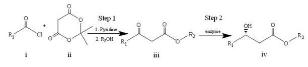 Enzymatic synthesis method of chiral beta-hydroxyl ester compound