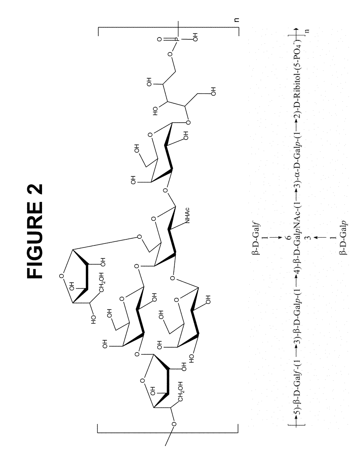 Immunogenic Compositions Comprising Conjugated Capsular Saccharide Antigens and Uses Thereof