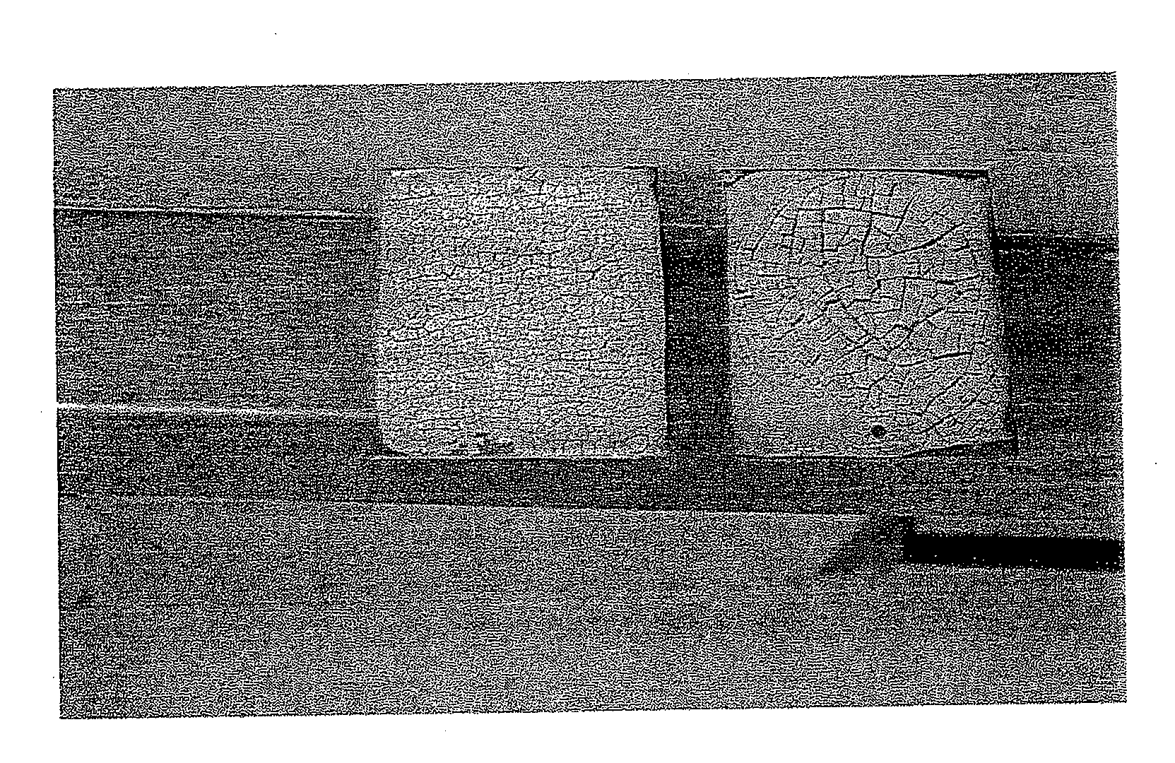 Vacuumable Gel for Decontaminating Surfaces and Use Thereof