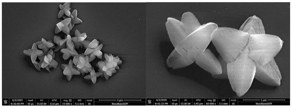 A kind of preparation method of flower cluster-like hierarchical structure ZIF series metal organic framework