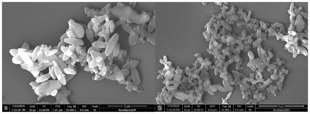 A kind of preparation method of flower cluster-like hierarchical structure ZIF series metal organic framework