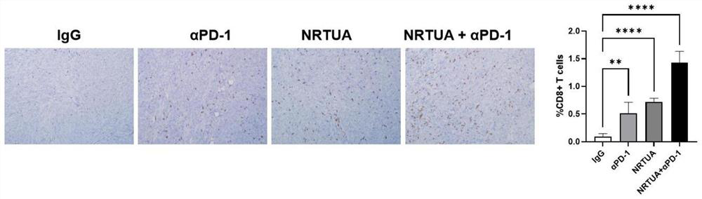 Immunotherapy combination medicine for treating solid tumors