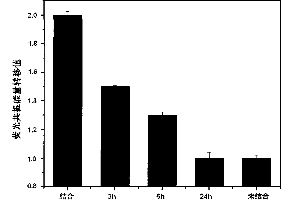 Acenaphtho-heterocycles compounds and application thereof in preparation of BH3 analogue Bcl-2 family protein inhibitor