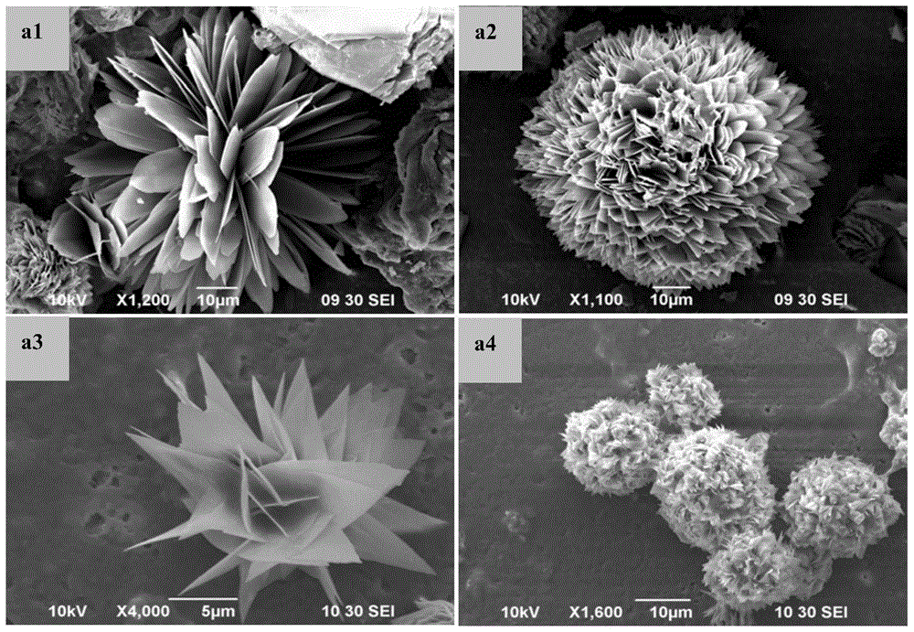 A protein inorganic hybrid nanomaterial, preparation method, catalyst using the material as a carrier, and preparation method