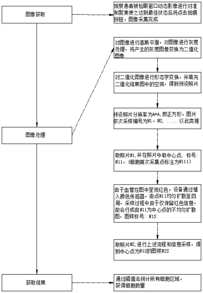 Corneal endothelial cell counter positioning and photographing method based on iris characteristics