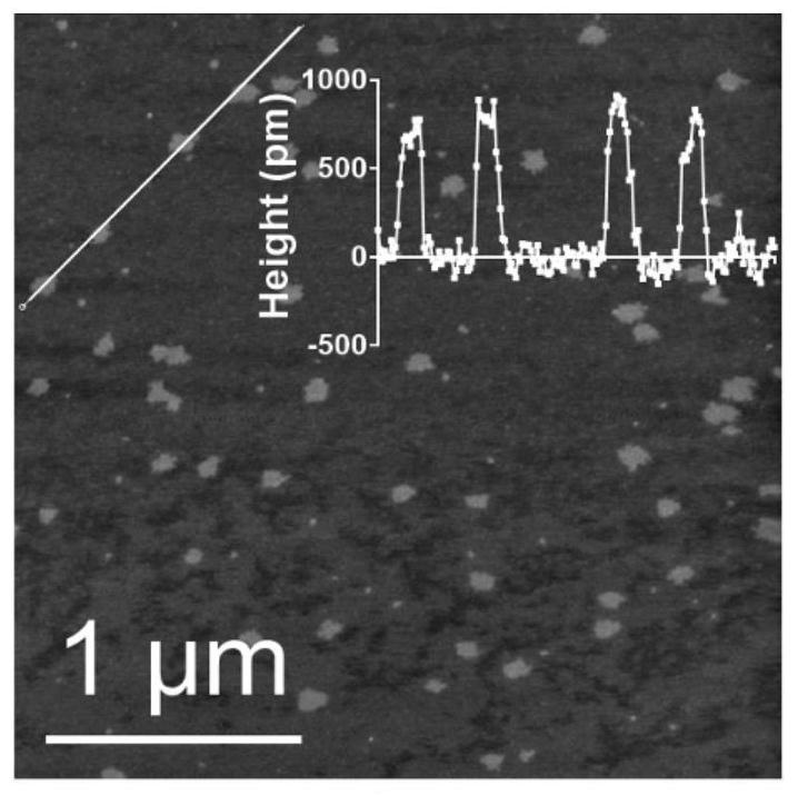 Nanosheet containing nitric oxide donor and its preparation method and application