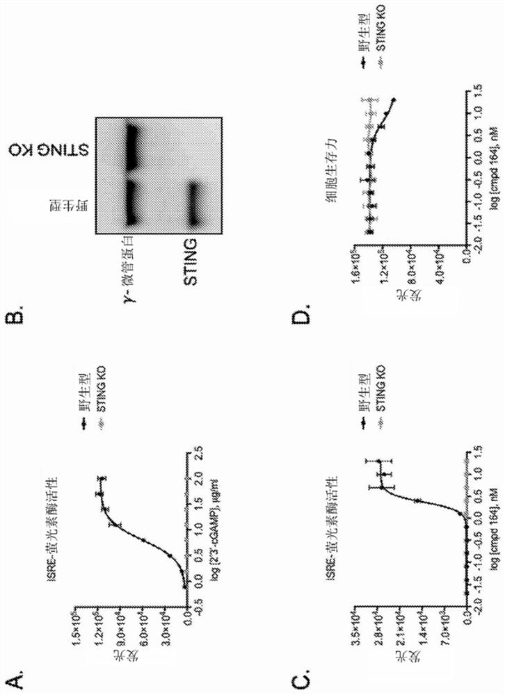 Agonists of stimulator of interferon genes sting