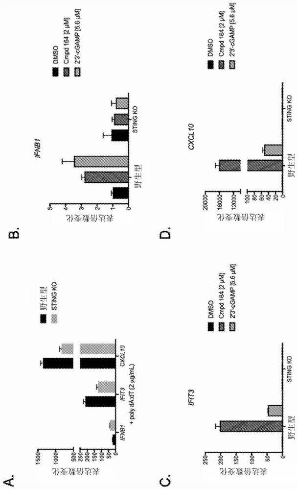 Agonists of stimulator of interferon genes sting