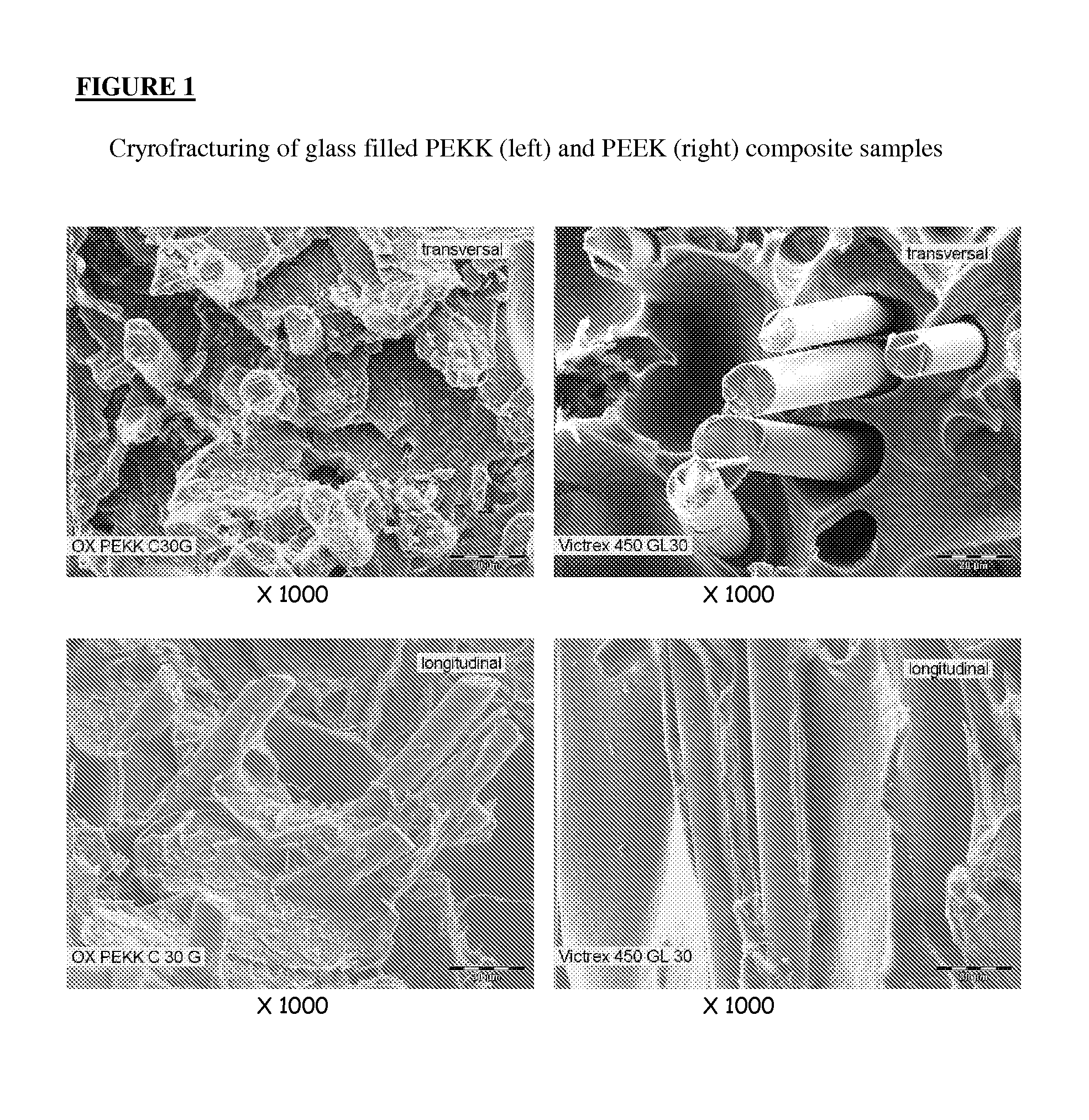 Fibers sized with polyetherketoneketones