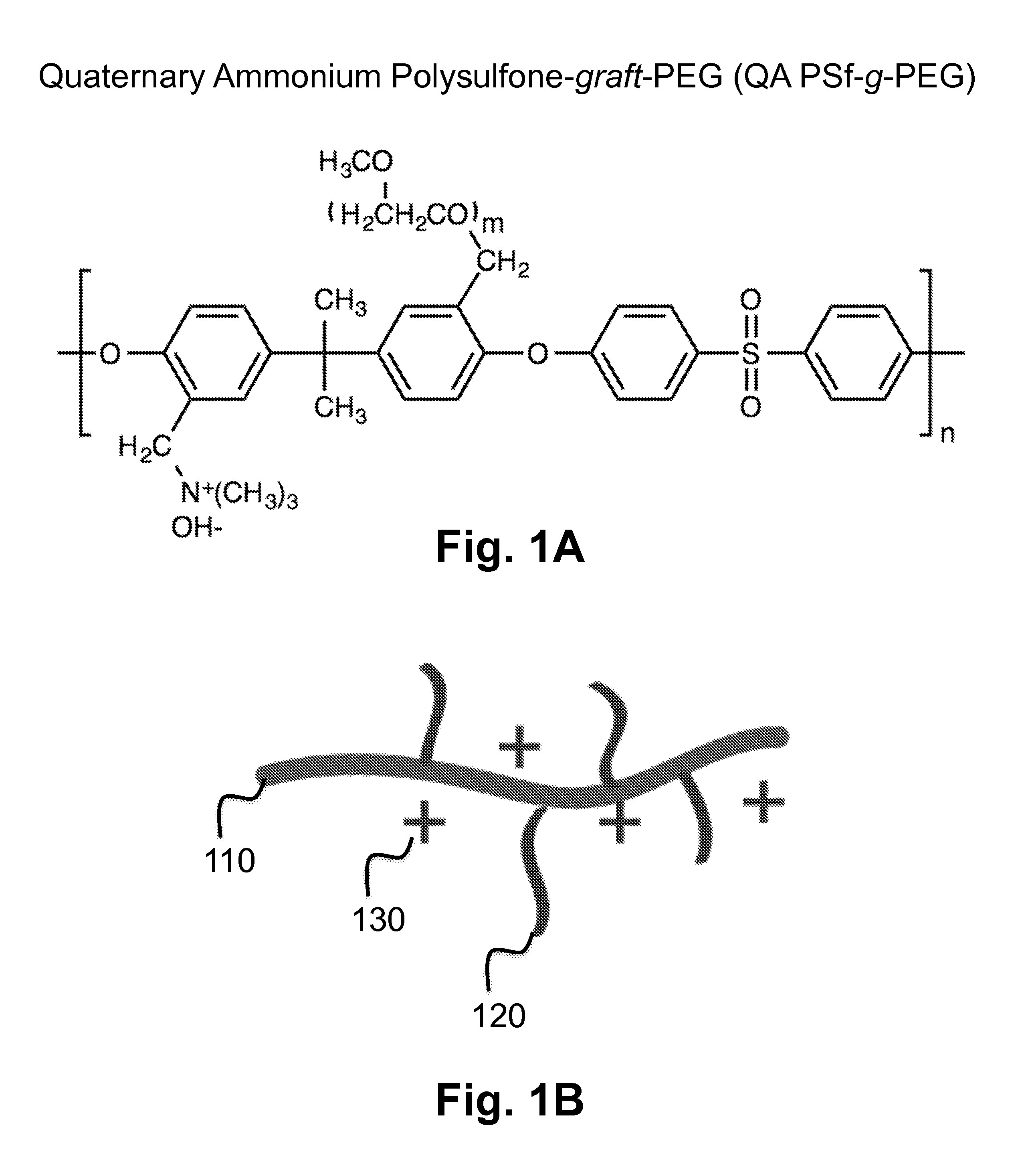 Anion Transport Membrane