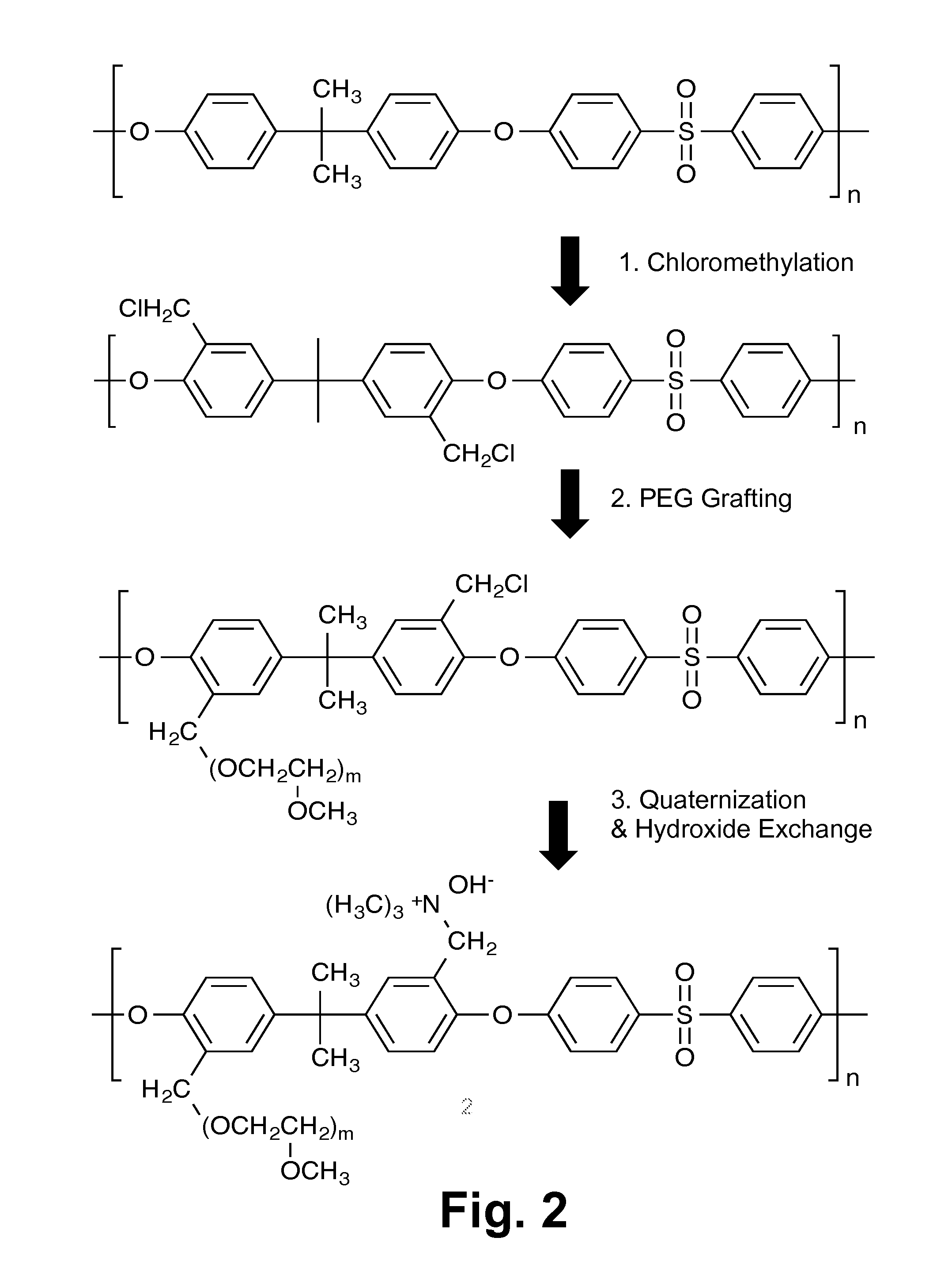 Anion Transport Membrane