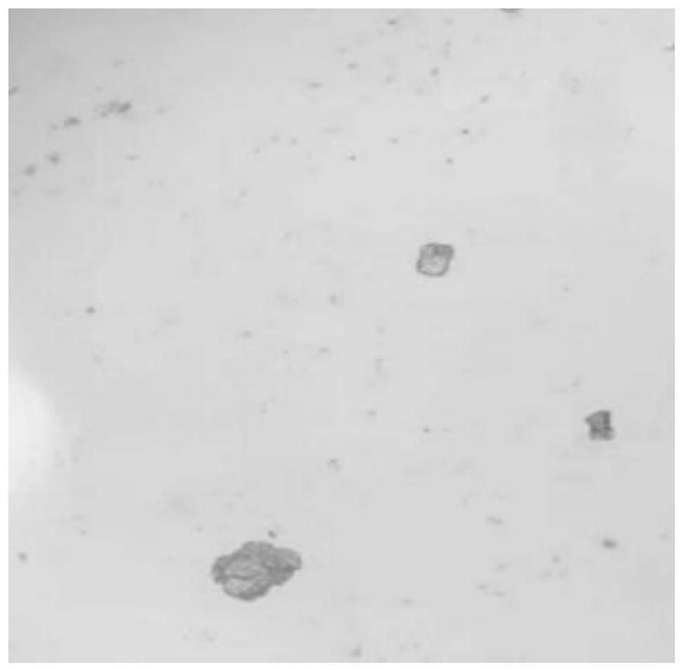 3, 3 ', 4, 4'-biphenyltetracarboxylic acid reaction crystallization method