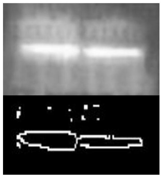 Generator carbon brush temperature monitoring system and temperature prediction method based on infrared image