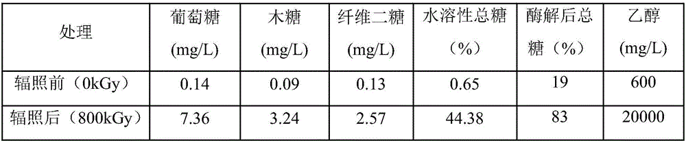 Method for producing fuel ethanol based on irradiation pre-treated straw