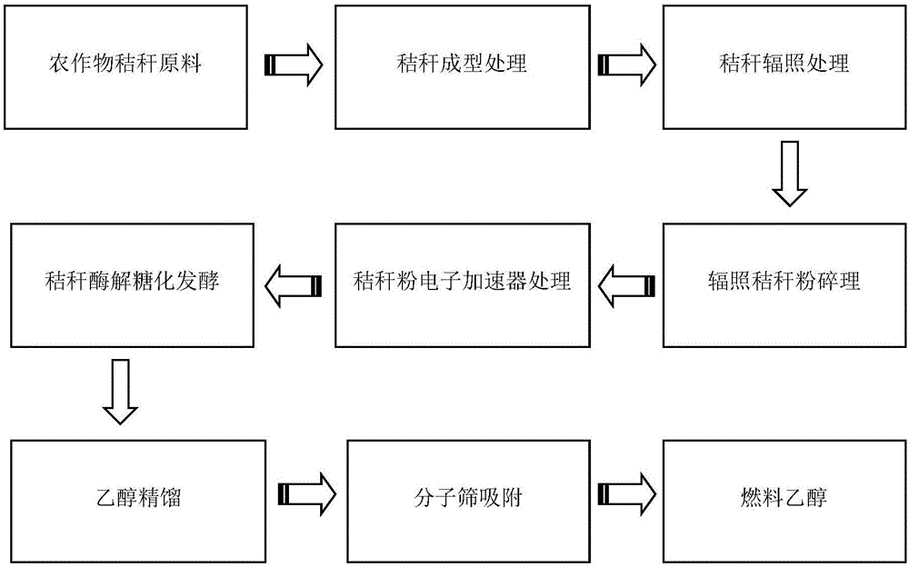 Method for producing fuel ethanol based on irradiation pre-treated straw