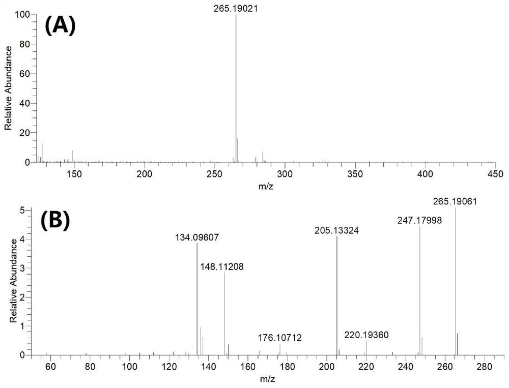 Authenticity evaluation method of Tibet sophora davidii honey