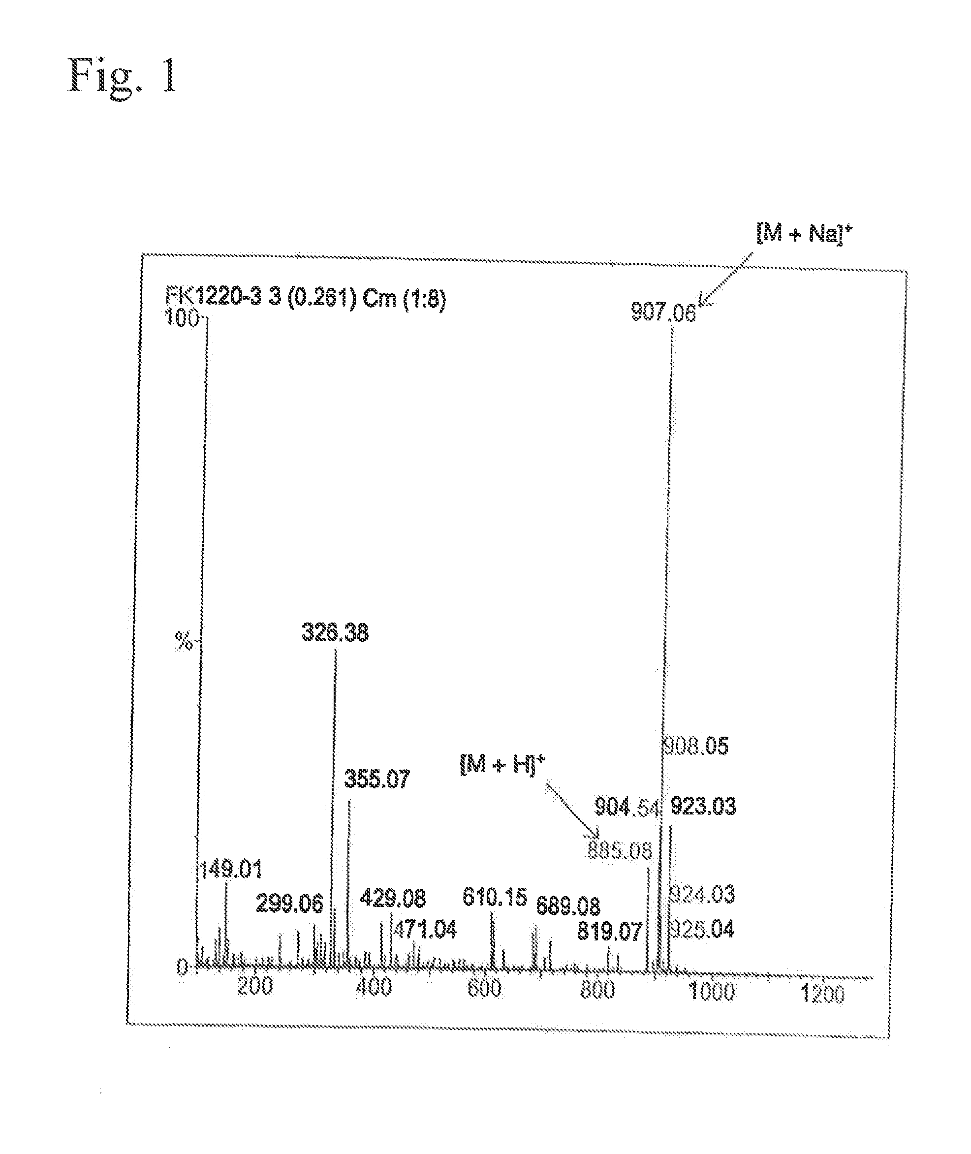 Novel compound having inhibitory effect on lipase