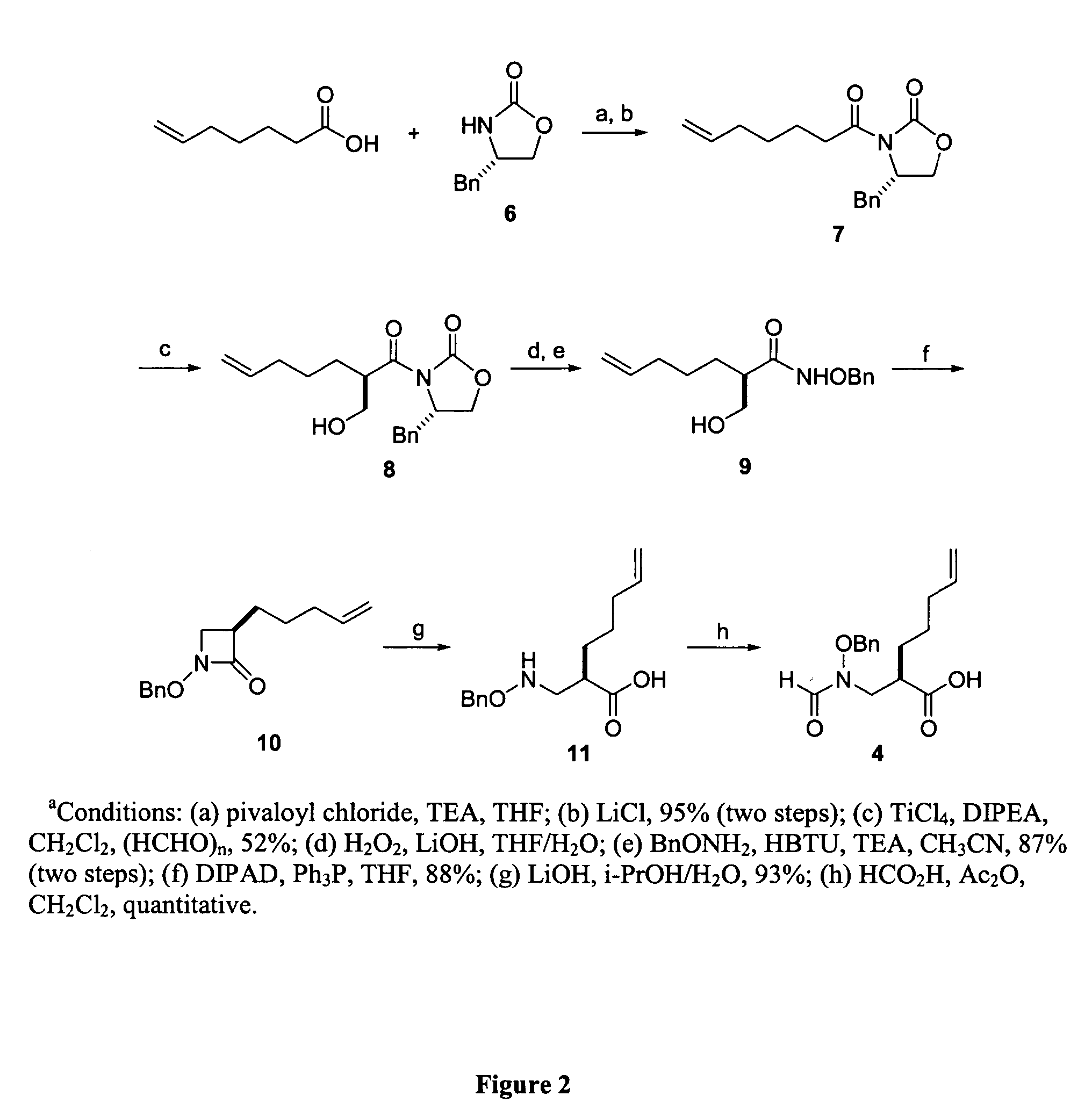 Peptide deformylase inhibitors as novel antibiotics