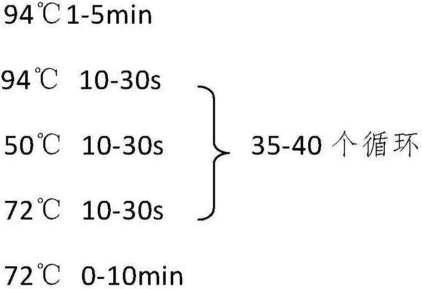 Method for screening pacific oysters capable of increasing content of unsaturated fatty acid C20:3omega6 and related SNP (Single Nucleotide Polymorphism) primer pair