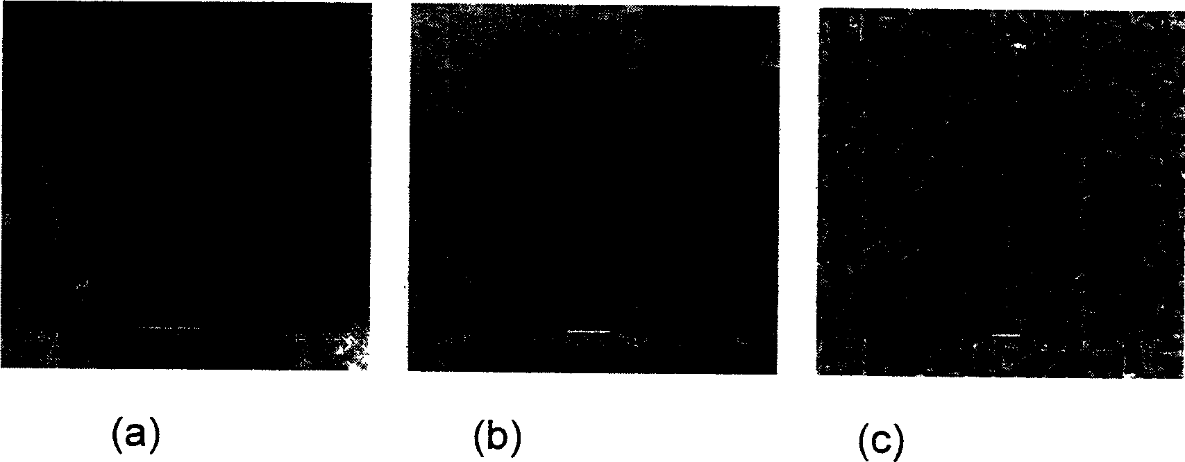 Chemical vapor deposition process of preparing Sic nanotube