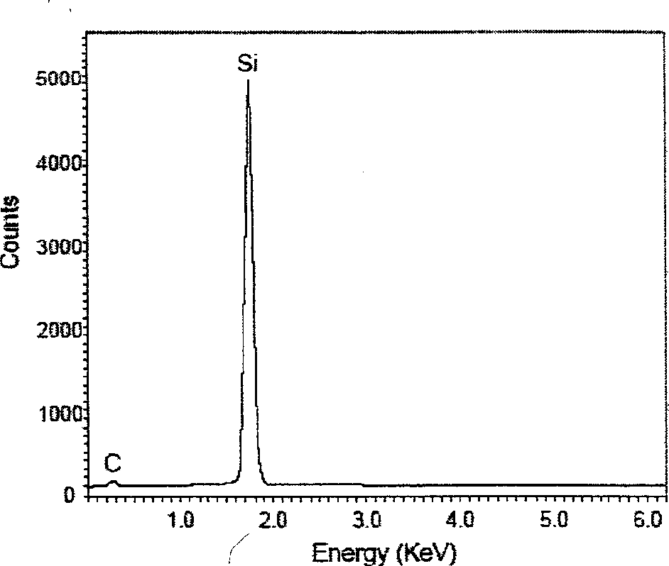 Chemical vapor deposition process of preparing Sic nanotube