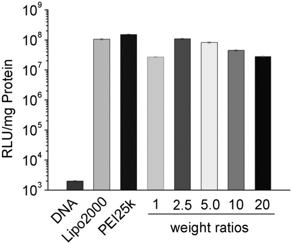 Nano-carrier capable of realizing co-delivery of genes and medicines and preparation method of nano-carrier