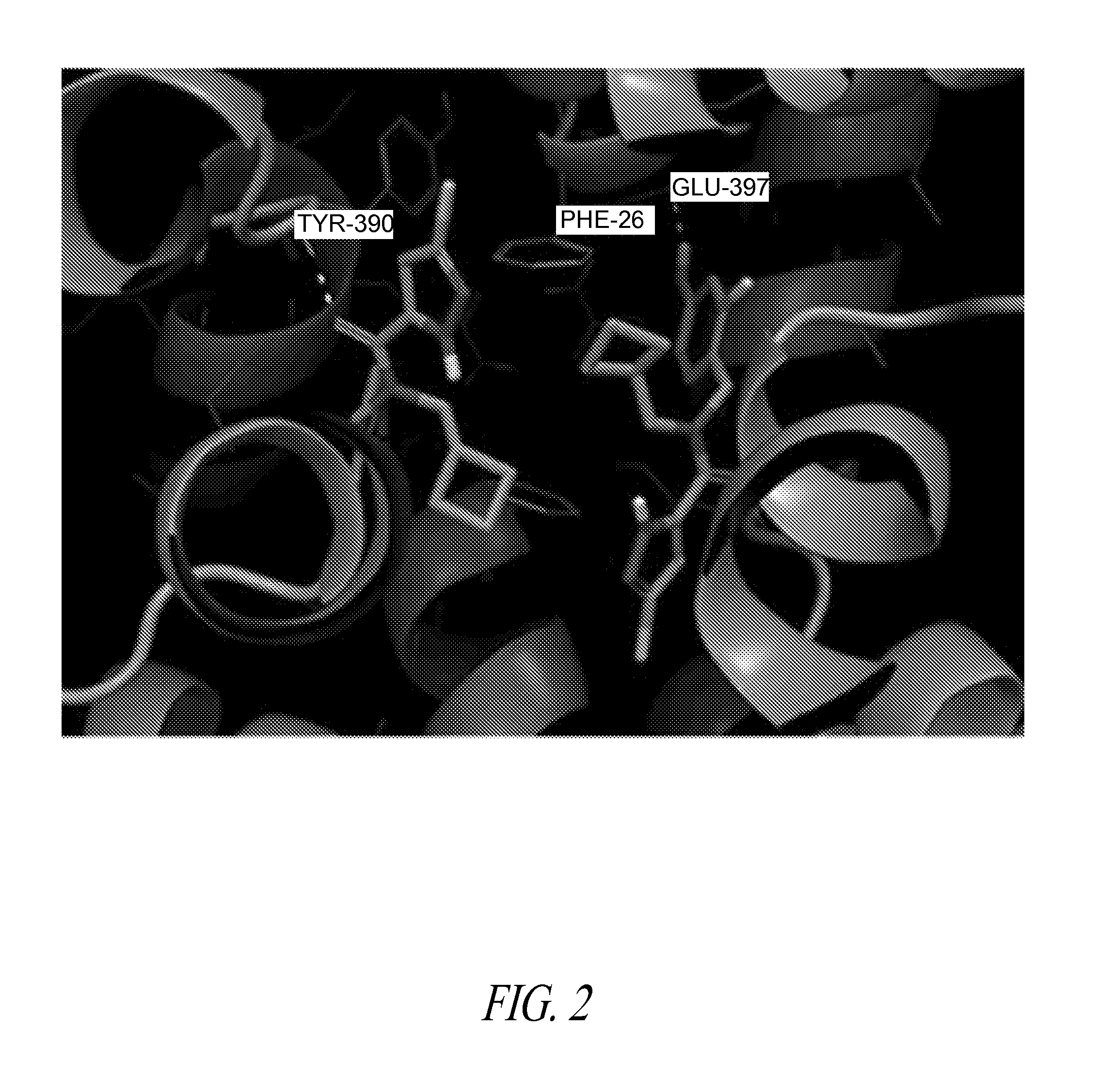 Pkm2 modulators and methods for their use