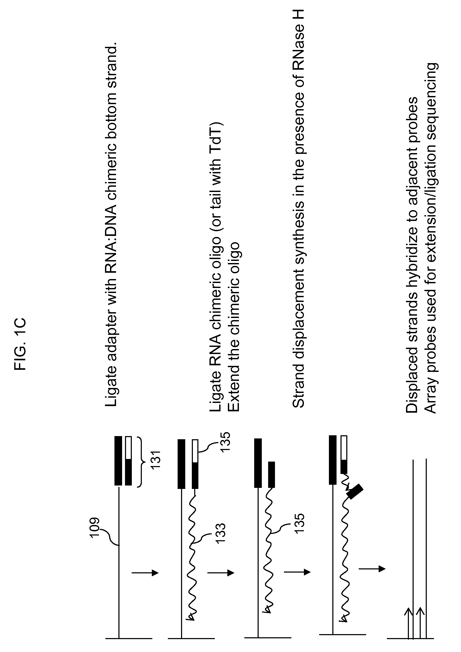 Locus specific amplification using array probes