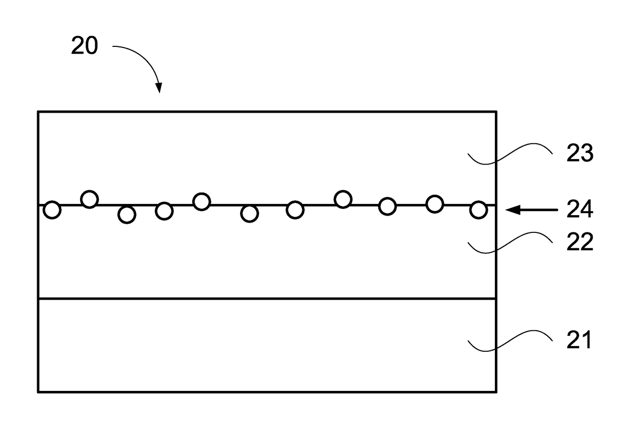 Organic negative electrode with chlorophyll and battery using the organic negative electrode