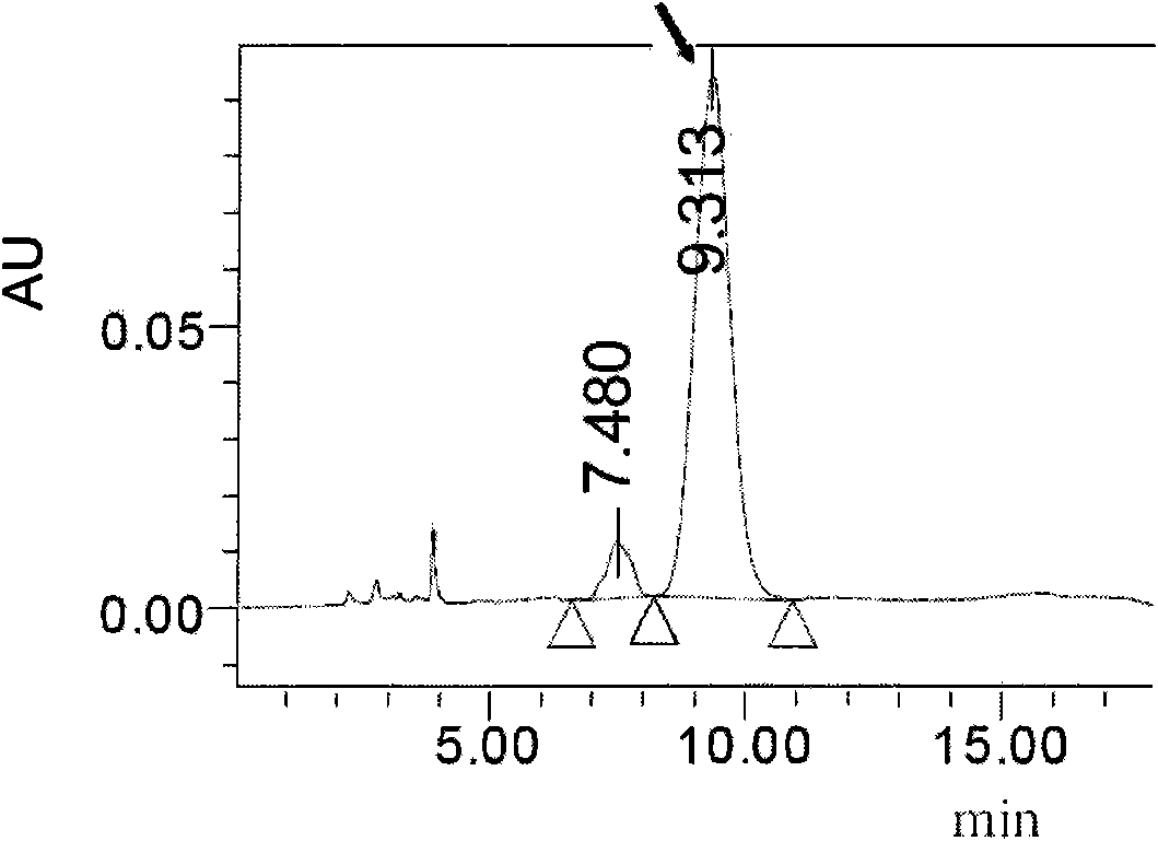 Hyaluronidase expression vector and application thereof