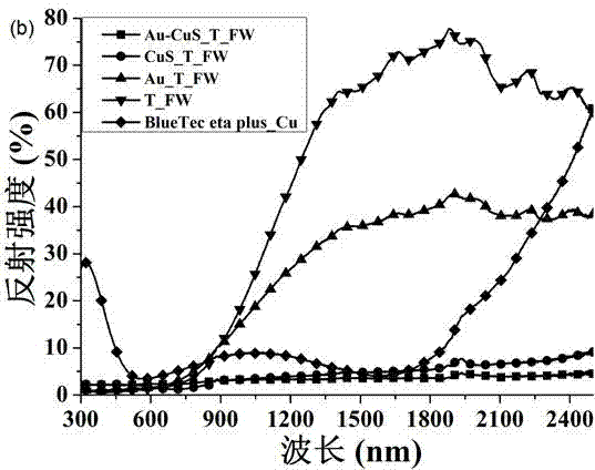 Nano-particle system and preparation system and application of nano-particle system