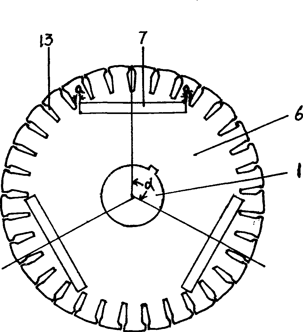 Single transplanted magnet steel permanent magnet synchronous motor