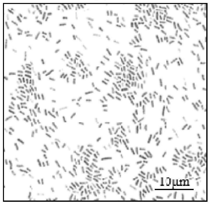 A pathogenic strain causing patchouli bacterial wilt and its application