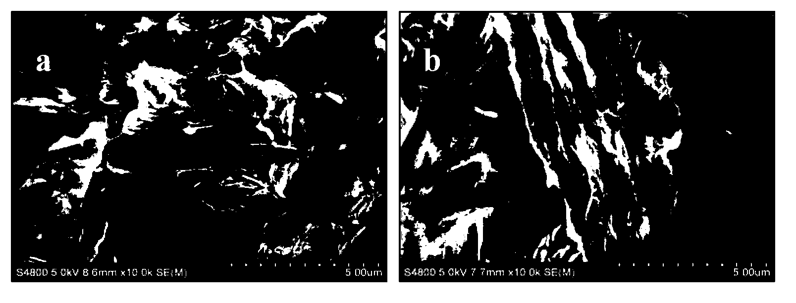 Heavy metal ion adsorbent as well as preparation and application thereof