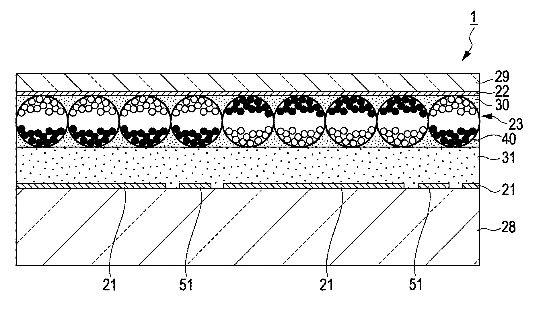 Electrophoretic display device and electronic apparatus