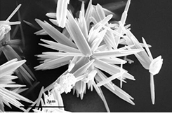 Preparation method of multifunctional super-hydrophobic coating with mechanical stability