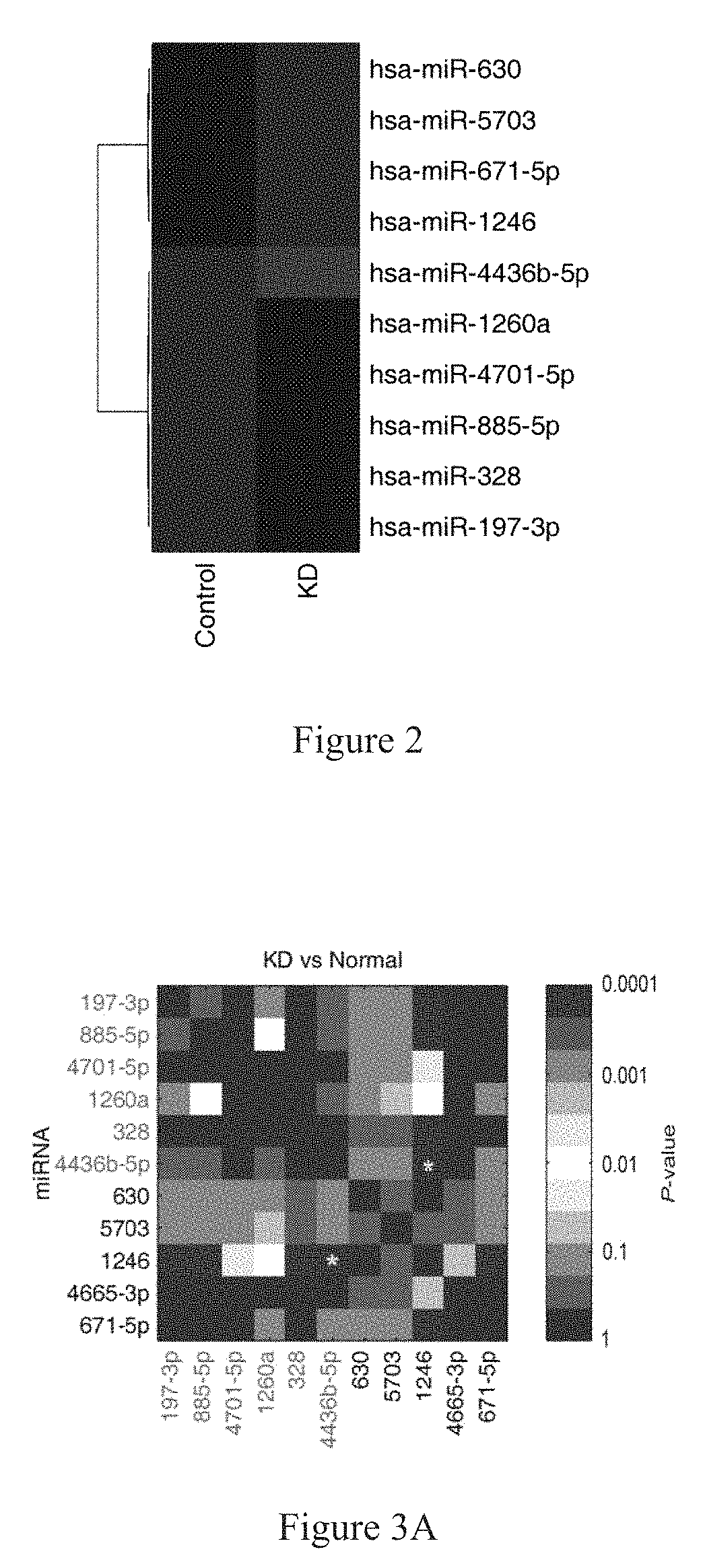 Nucleic acid markers for rapid diagnosis of kawasaki disease and kit for detection of the nucleic acid markers